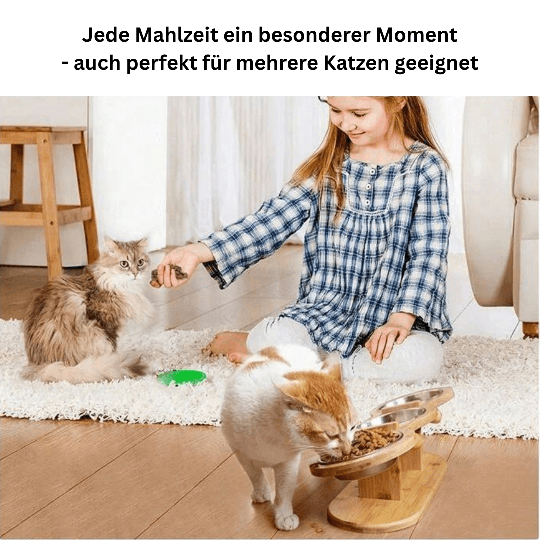 3in1 erhöhter Futternapf Fressnapf Futterstation Holz Katze TRENDMOPS SNACKSTATION