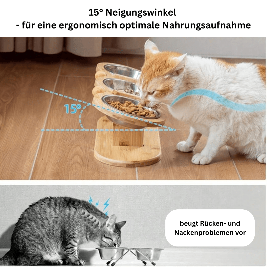 3in1 erhöhter Futternapf Fressnapf Futterstation Holz Katze TRENDMOPS SNACKSTATION