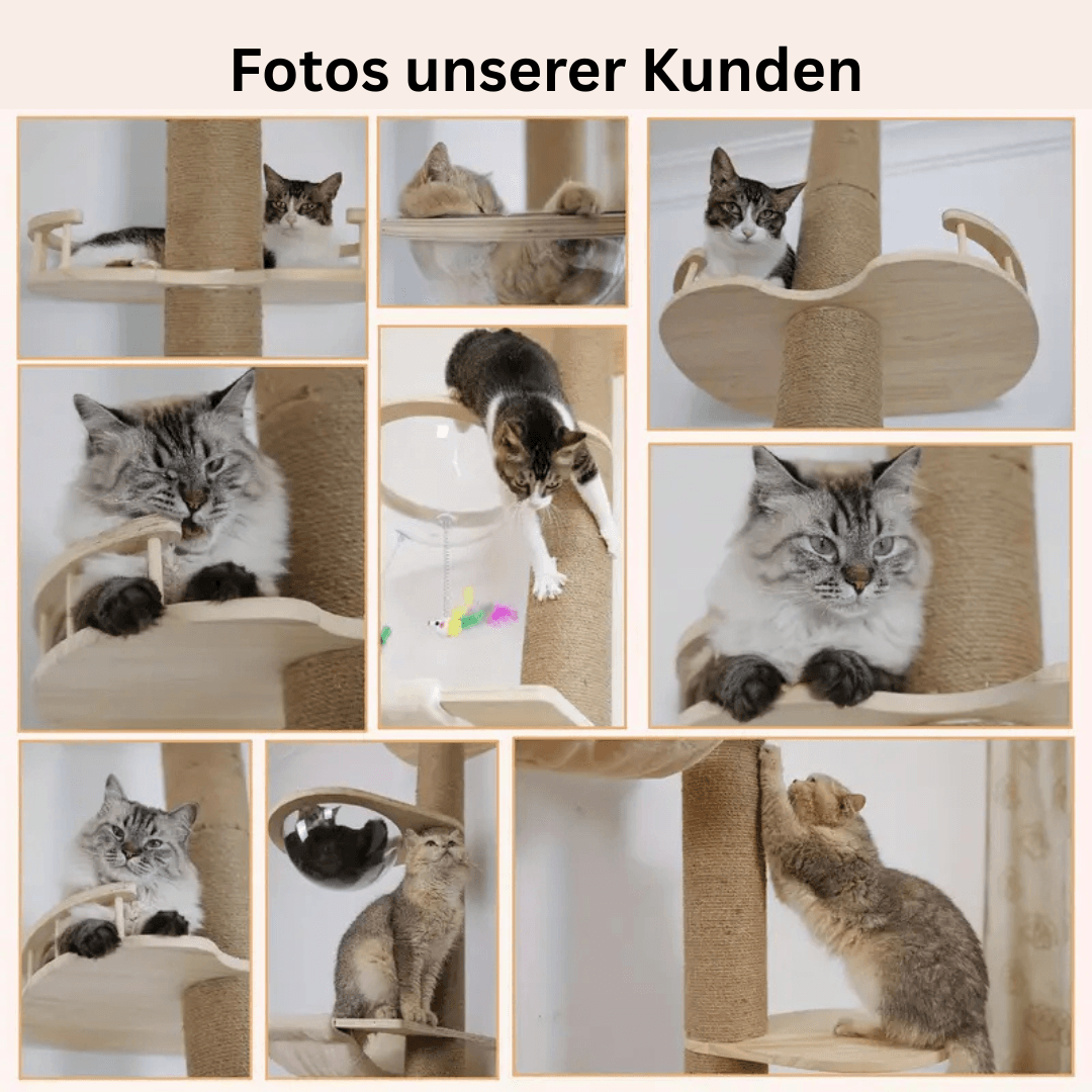 XXL Katzenbaum Kratzbaum Holz 250-270cm TRENDMOPS XXL KATZENPALAST