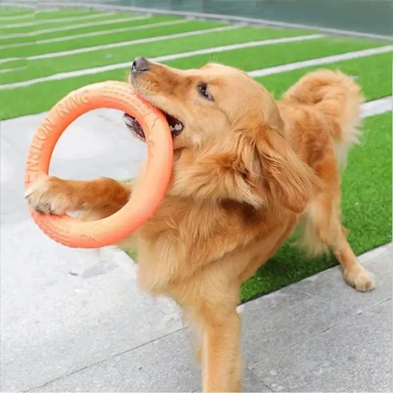 Kauspielzeug Ring Gummi XL Hundespielzeug wasserfest TRENDMOPS CHEWYRING