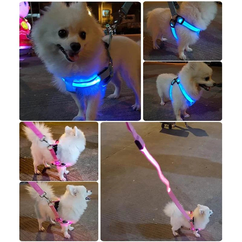 Hundegeschirr Brustgeschirr Hundeleine leuchtend TRENDMOPS LUMIAPAW - Trendmops