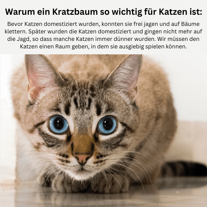 XXL Katzenbaum Kratzbaum Holz 270cm TRENDMOPS XXL KATZENPALAST - Trendmops