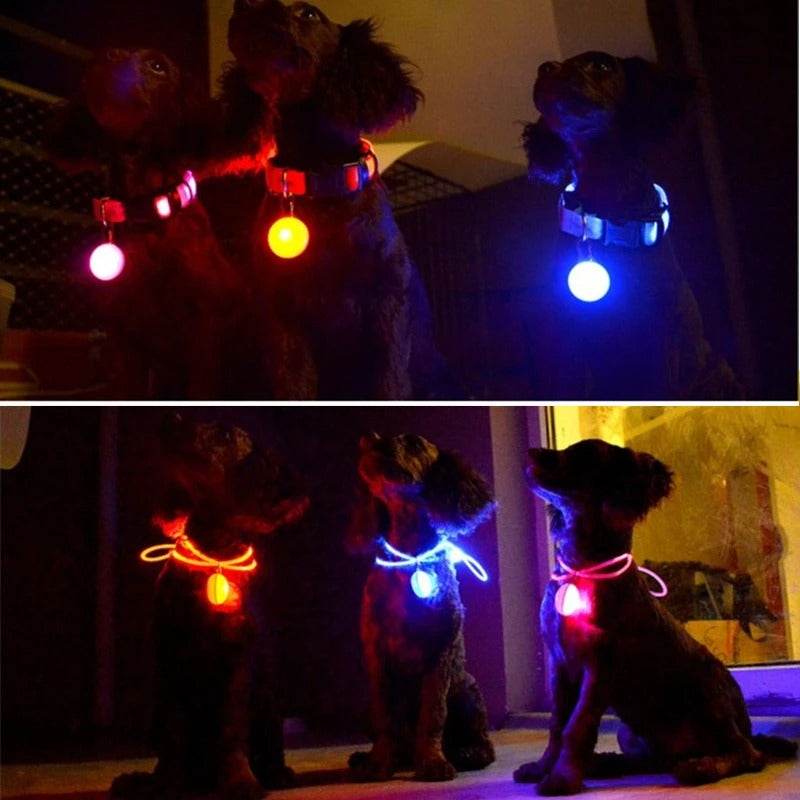 LED Hundehalsband blinkend mit Anhänger USB Batterie TRENDMOPS LUMINELLA - Trendmops