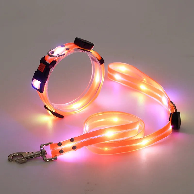 Hundeleine Halsband leuchtend LED Leine Hund TRENDMOPS BLINKYWALK