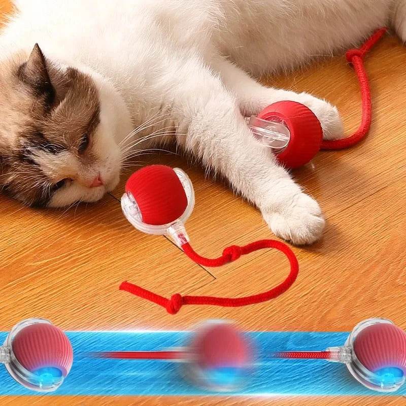 Interaktives Katzenspielzeug Ball Beschäftigung USB TRENDMOPS INTELLYCATCH - Trendmops