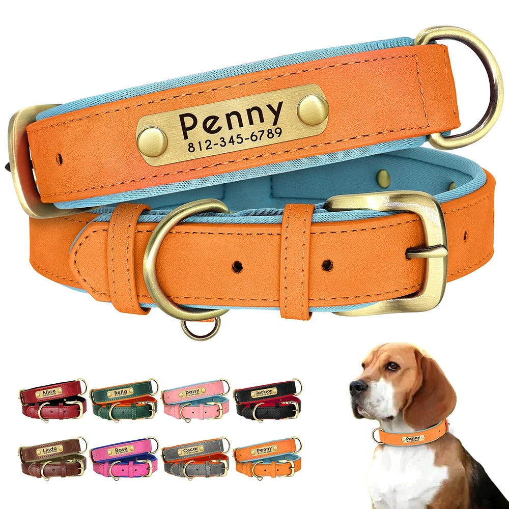 Hundehalsband Leder personalisiert Name TRENDMOPS MANDIAGO