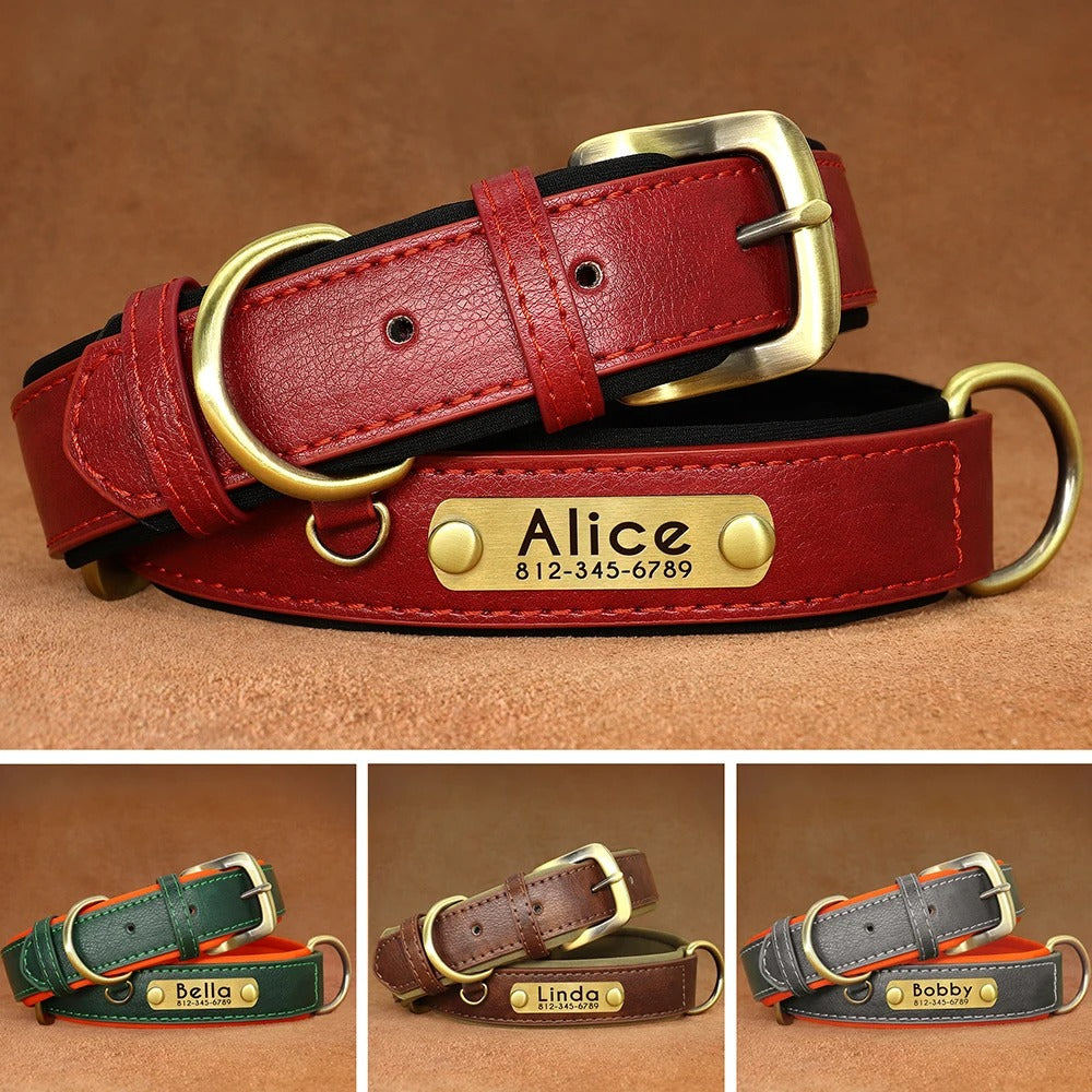 Hundehalsband Leder personalisiert Name TRENDMOPS MANDIAGO