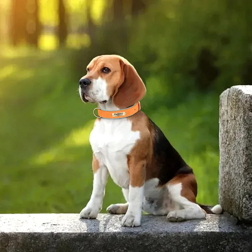 Hundehalsband Leder personalisiert Name TRENDMOPS MANDIAGO