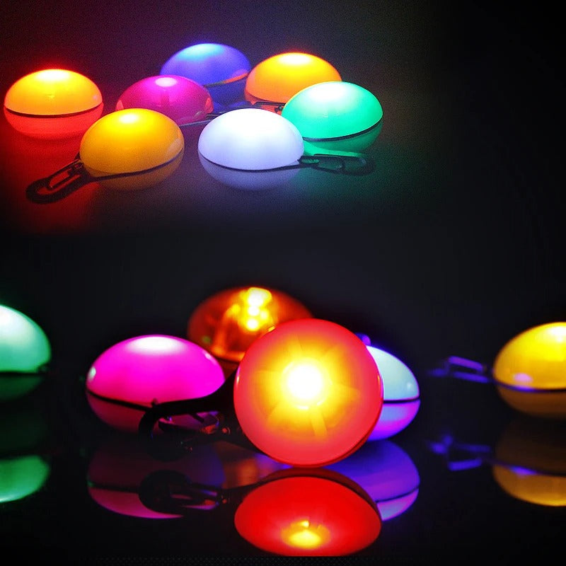 Anhänger Hundeleine LED Licht Sicherheit TRENDMOPS LUMIRANDO