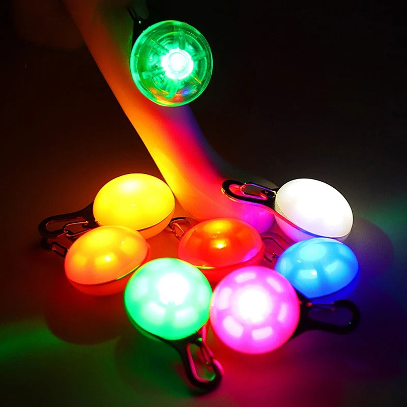 Anhänger Hundeleine LED Licht Sicherheit TRENDMOPS LUMIRANDO