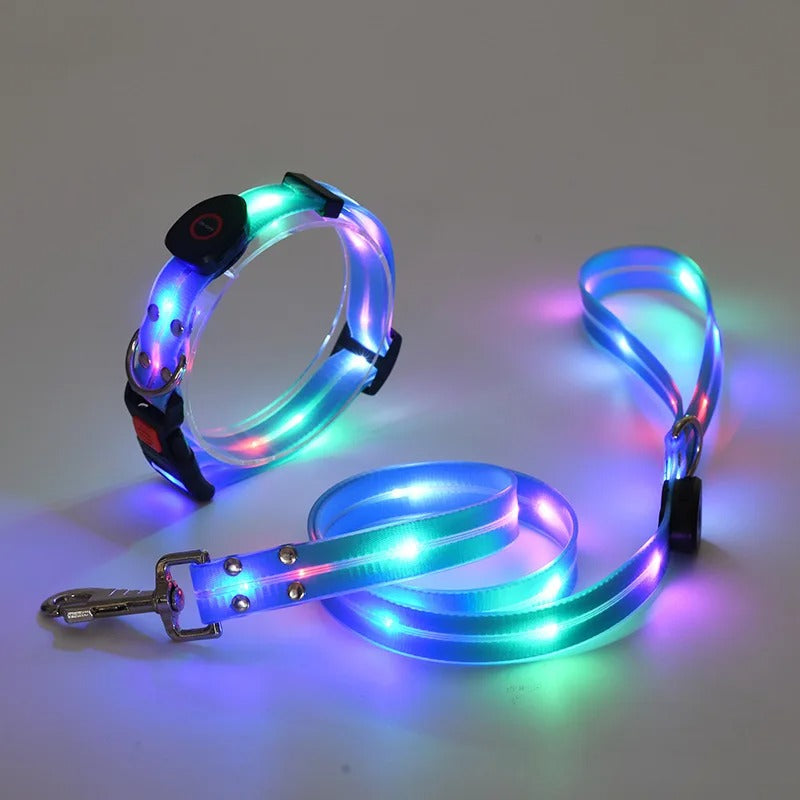 Hundeleine Halsband leuchtend LED Leine Hund TRENDMOPS BLINKYWALK
