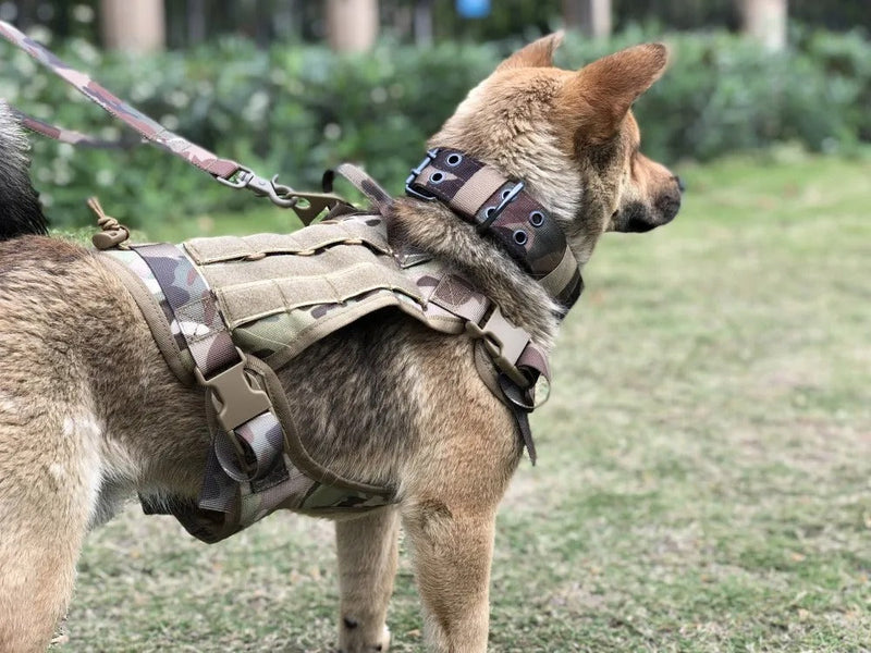 TRENDMOPS TACTICOAT - Taktisches Hundegeschirr: Trainingsweste mit Hundeleine: Perfekt für Gassi, Jagd & Training