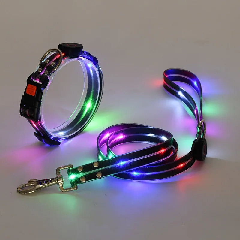 Hundeleine Halsband leuchtend LED Leine Hund TRENDMOPS BLINKYWALK
