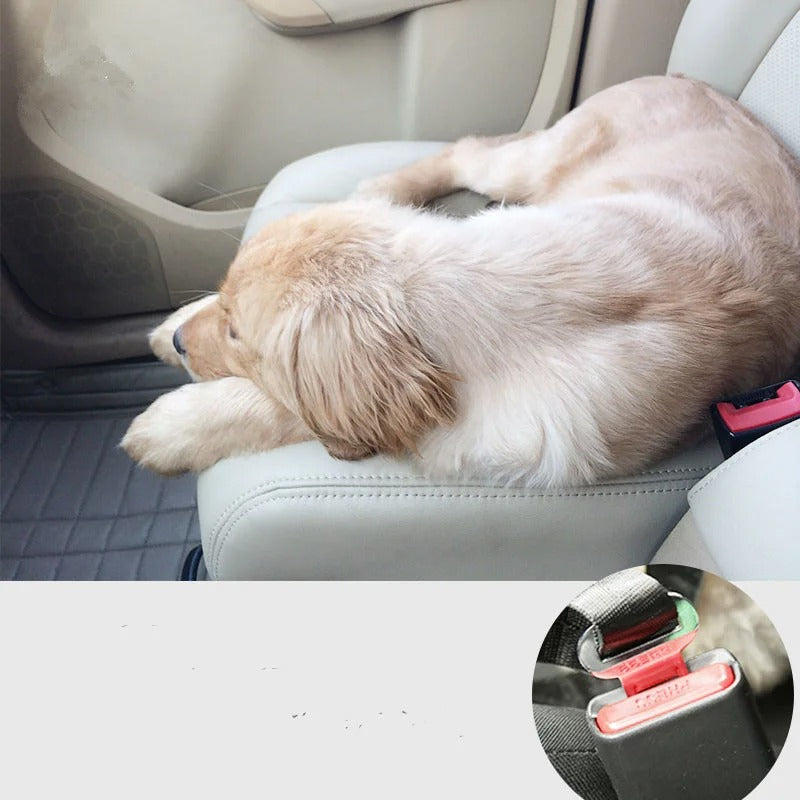 Hundegurt Sicherheitsgurt Anschnallgurt Auto Hund TRENDMOPS PROTECTANA
