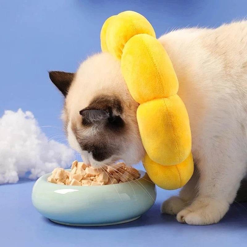 Halskrause Schutzkragen Katze Hunde TRENDMOPS MEDICAPAW - Trendmops