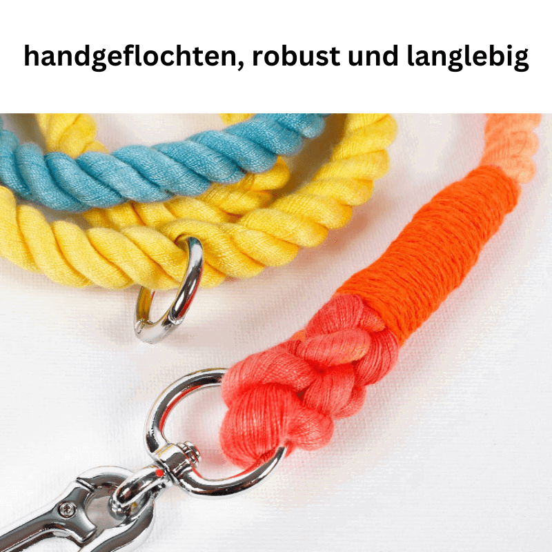 Bunte Hundeleine Baumwolle handmade TRENDMOPS HAPPYCOLORS - Trendmops