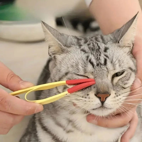 Bürste Hunde Katzen Augen Ohren Silikon TRENDMOPS BRUSHYEYE - Trendmops