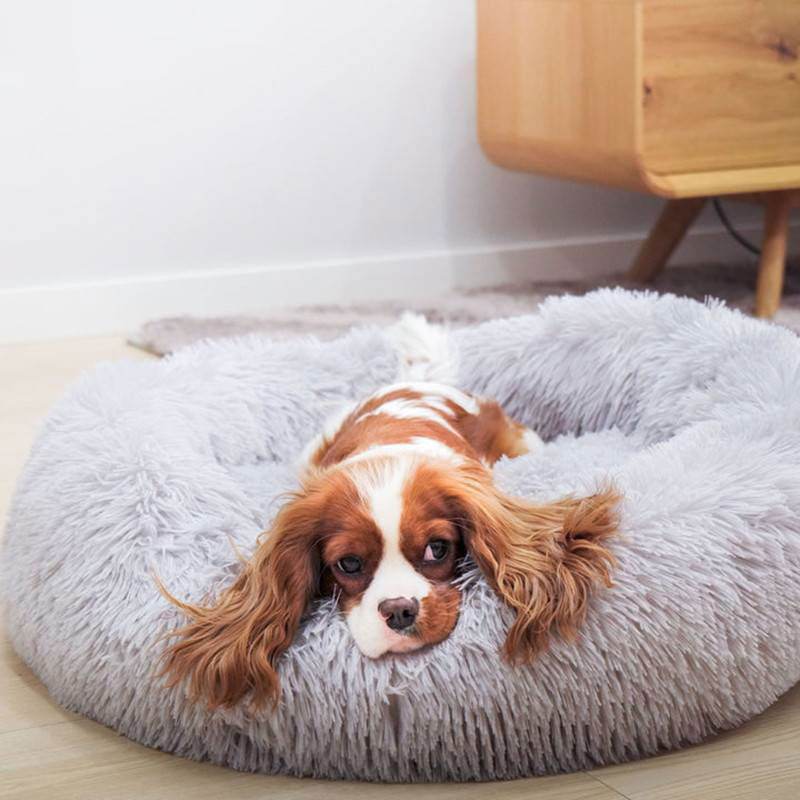 Hundebett Donut rund kuschelig Plüsch TRENDMOPS COSYDONUT - Trendmops