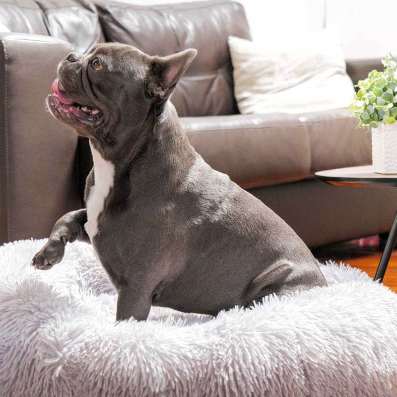 Hundebett Donut rund kuschelig Plüsch TRENDMOPS COSYDONUT - Trendmops