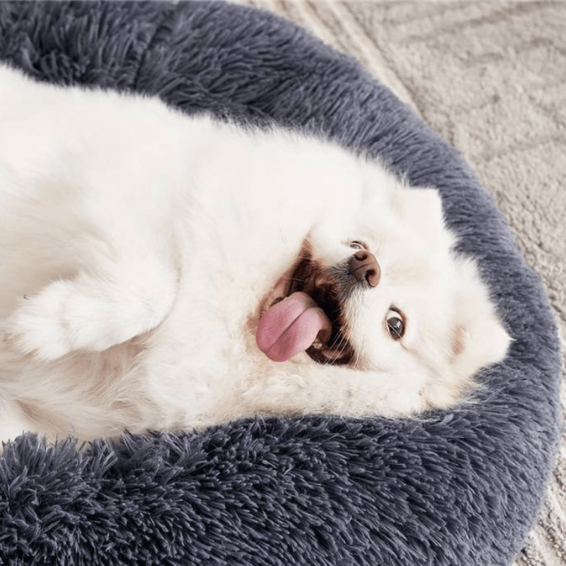 Hundebett Donut rund kuschelig Plüsch TRENDMOPS COSYDONUT - Trendmops