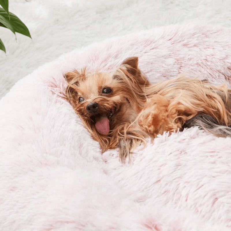 Hundebett Donut rund kuschelig Plüsch TRENDMOPS COSYDONUT - Trendmops