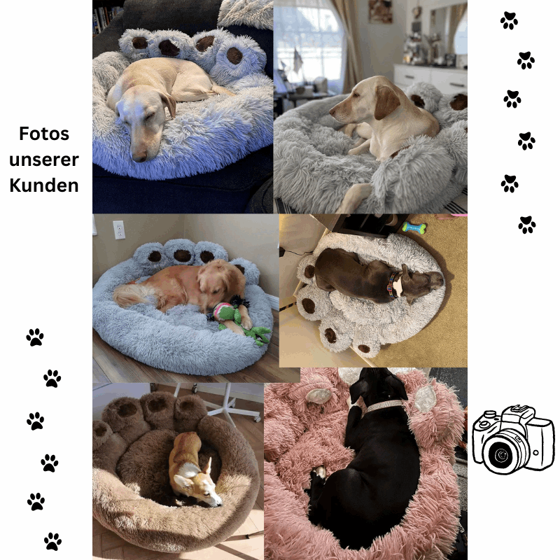 Hundebett Pfote Tatze rund Plüsch TRENDMOPS CUDDLEPAW - Trendmops