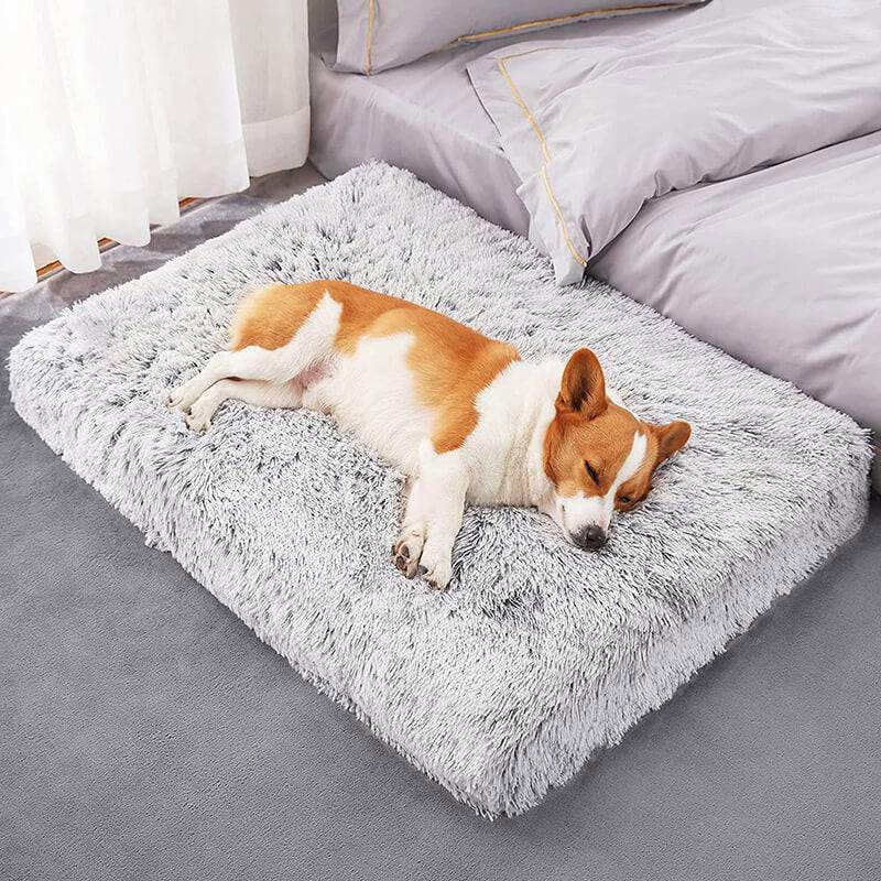 Hundebett orthopädisch Gelenke TRENDMOPS ORTHODOGRELAX - Trendmops