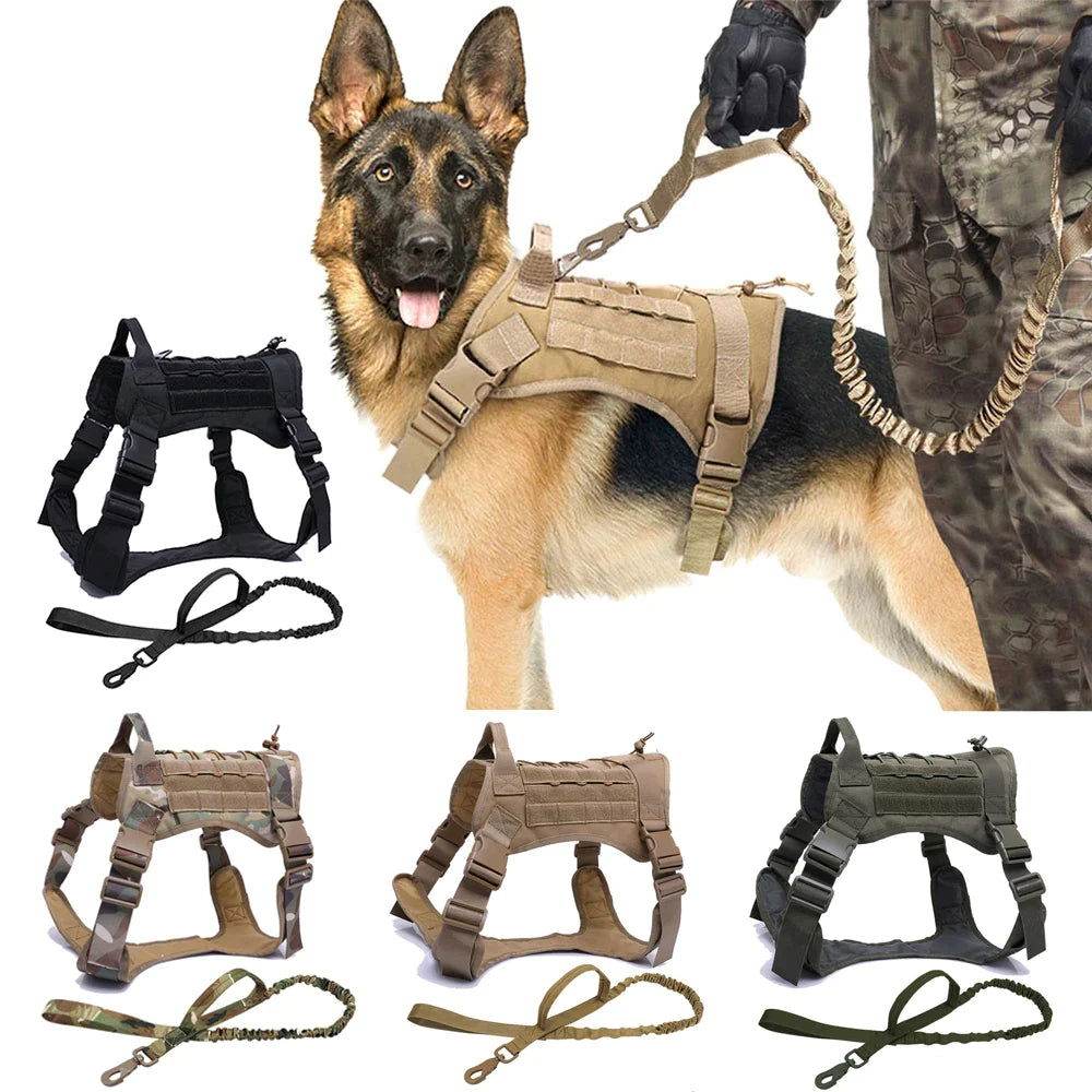 Hundegeschirr Trainingsweste Leine Jagd Training TRENDMOPS TACTICOAT - Trendmops