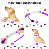 Hundehalsband LED leuchtend zuschneidbar USB TRENDMOPS LEUCHTPFOTE - Trendmops