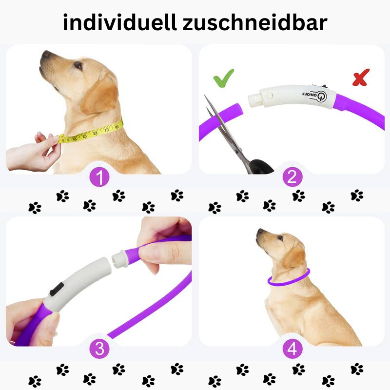 Hundehalsband LED leuchtend zuschneidbar USB TRENDMOPS LEUCHTPFOTE - Trendmops