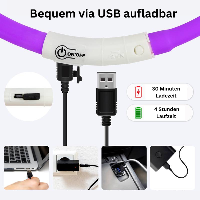 Hundehalsband LED leuchtend zuschneidbar USB TRENDMOPS LEUCHTPFOTE - Trendmops