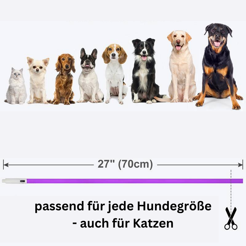 Hundehalsband LED leuchtend zuschneidbar USB TRENDMOPS LEUCHTPFOTE - Trendmops