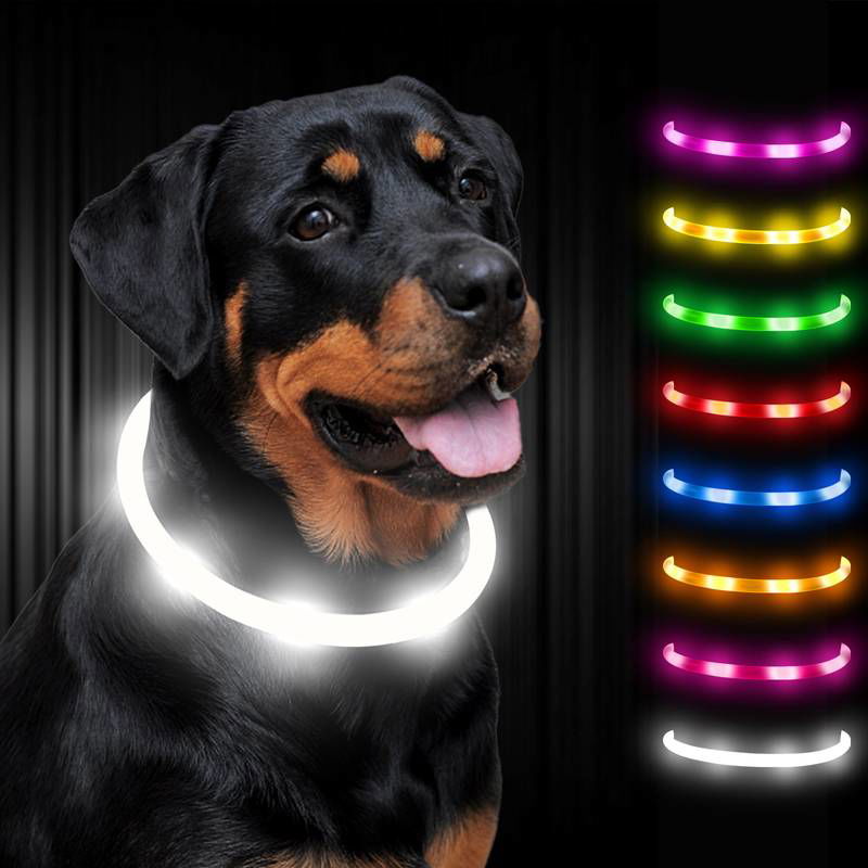 Hundehalsband LED leuchtend zuschneidbar USB TRENDMOPS LEUCHTPFOTE - Trendmops