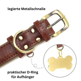 Hundehalsband Leder personalisiert Name TRENDMOPS MANDIAGO - Trendmops