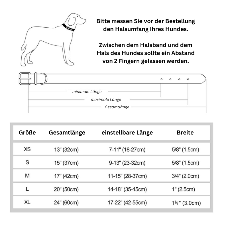 Hundehalsband Leder personalisiert Name TRENDMOPS MANDIAGO - Trendmops