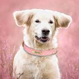 Hundehalsband Leder personalisiert Name TRENDMOPS MANDIAGO - Trendmops