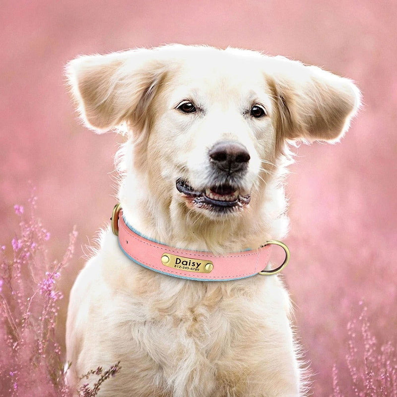 Hundehalsband Leder personalisiert Name TRENDMOPS MANDIAGO - Trendmops