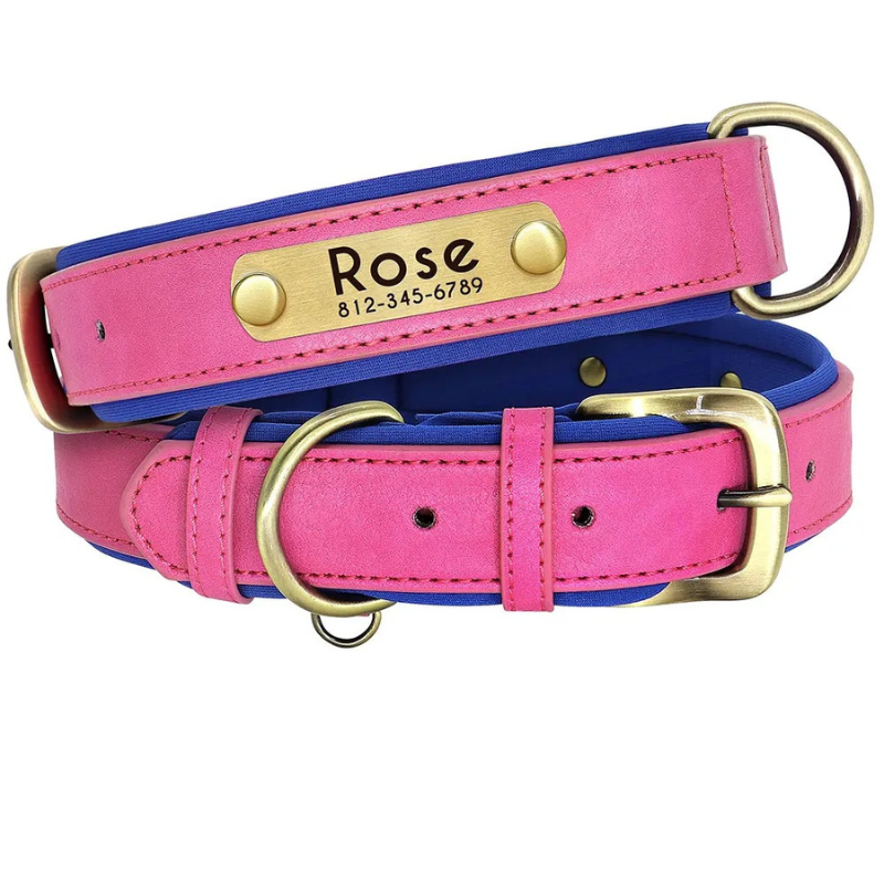 Hundehalsband Leder personalisiert Name TRENDMOPS MANDIAGO - Trendmops