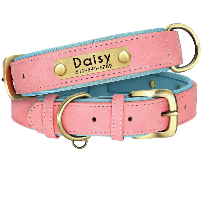 Hundehalsband Leder personalisiert Name TRENDMOPS MANDIAGO - Trendmops