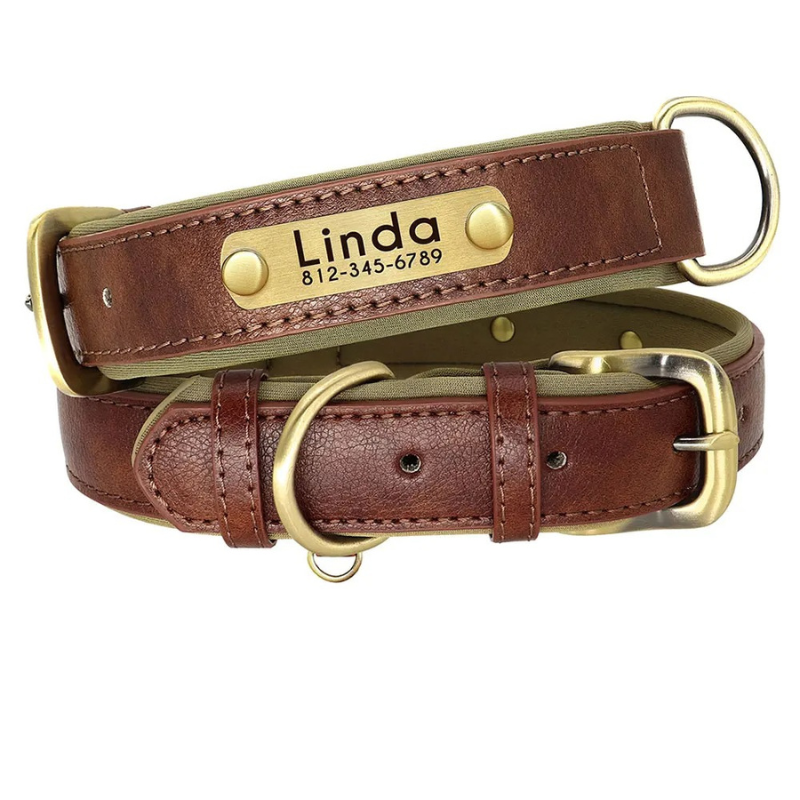 Hundehalsband Leder personalisiert Name TRENDMOPS MANDIAGO - Trendmops