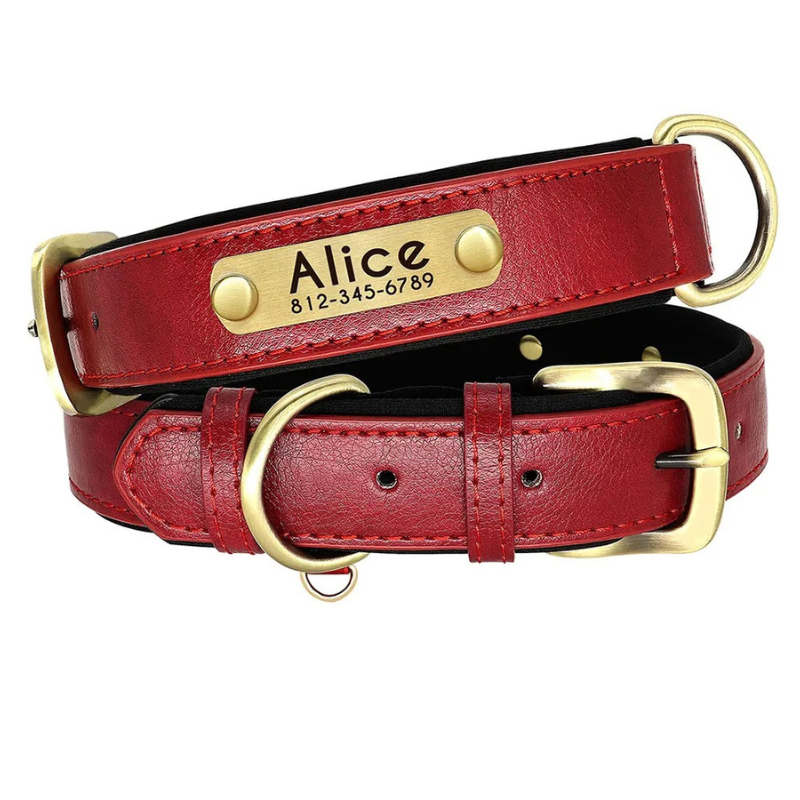 Hundehalsband Leder personalisiert Name TRENDMOPS MANDIAGO - Trendmops