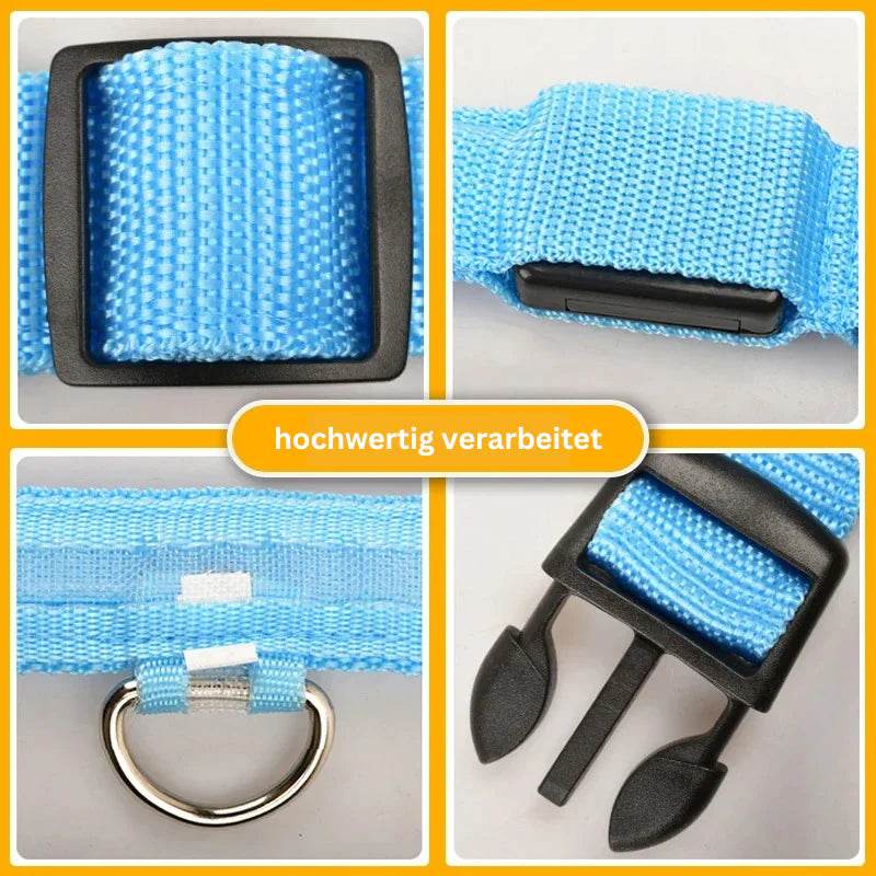 LED Hundehalsband blinkend mit Anhänger USB Batterie TRENDMOPS LUMINELLA - Trendmops
