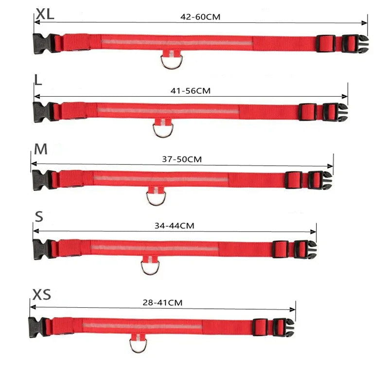 Hundehalsband blinkend USB Batterie TRENDMOPS LUMIAGUARD - Trendmops