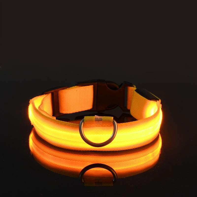 Hundehalsband blinkend USB Batterie TRENDMOPS LUMIAGUARD - Trendmops