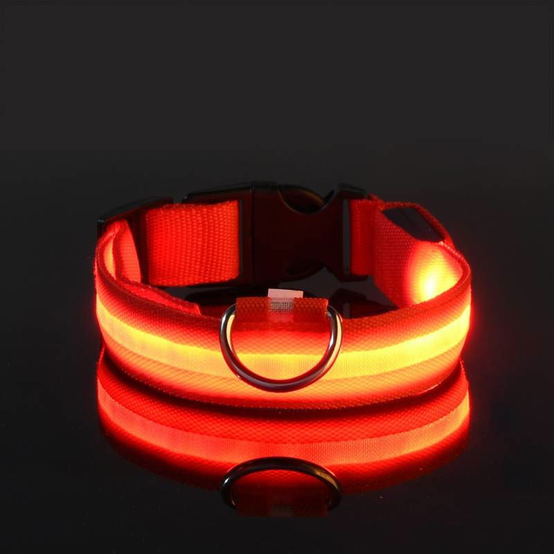 Hundehalsband blinkend USB Batterie TRENDMOPS LUMIAGUARD - Trendmops