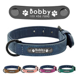 Hundehalsband personalisiert Leder Namen TRENDMOPS BELLANIA - Trendmops