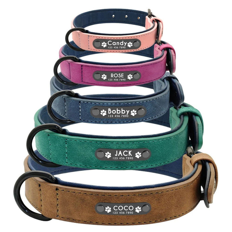 Hundehalsband personalisiert Leder Namen TRENDMOPS BELLANIA - Trendmops