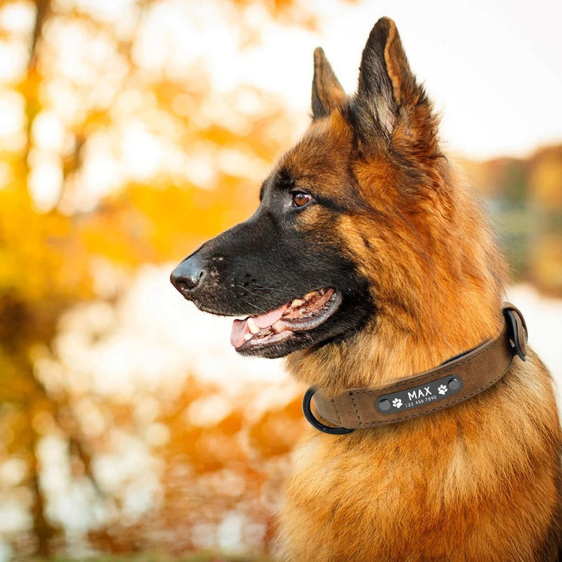 Hundehalsband personalisiert Leder Namen TRENDMOPS BELLANIA - Trendmops