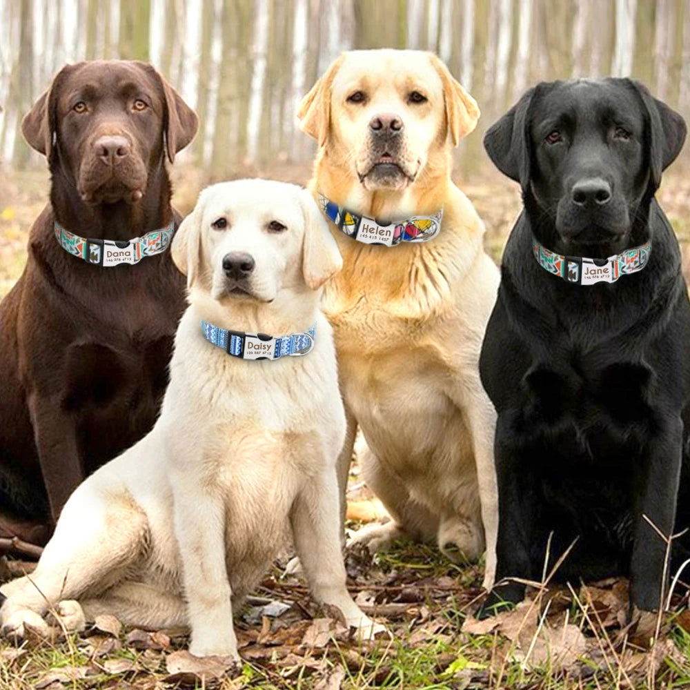 Hundehalsband personalisiert Nylon Gravur Name TRENDMOPS TRENDARINO - Trendmops