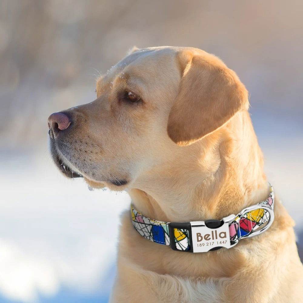 Hundehalsband personalisiert Nylon Gravur Name TRENDMOPS TRENDARINO - Trendmops